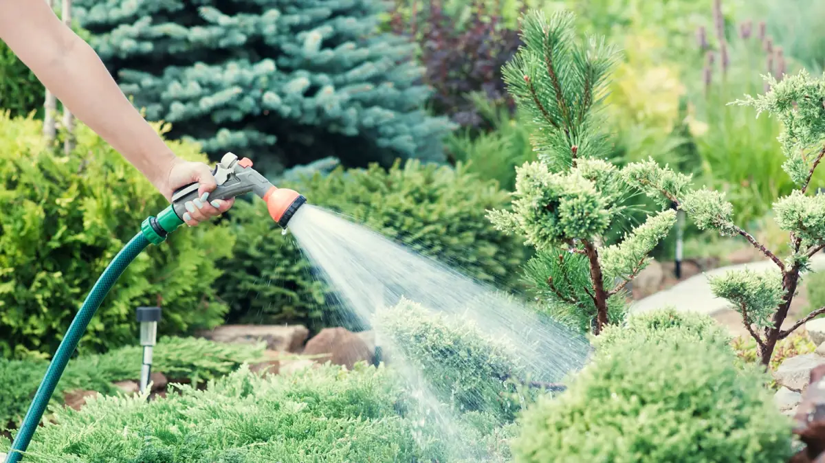 Récupérateur d'eau de pluie